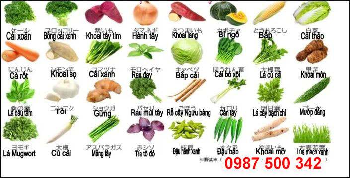 Thành phần của viên rau củ DHC Chiết xuất từ 32 loại rau củ 100% được trồng tại Nhật Bản